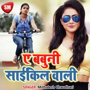 Ae Babuni Cycle Ha Sarkari image