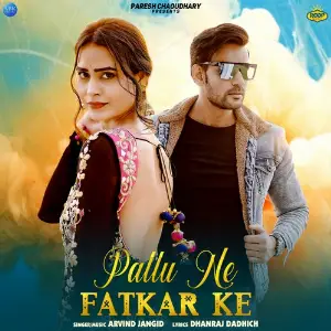 Pallu Ne Fatkar Ke image