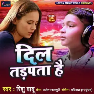 Dil Tadpata Hai image