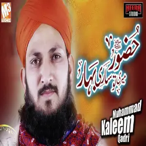 Huzoor Meri Tou Saari - Single image