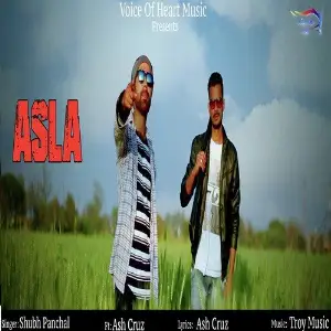 Asla image