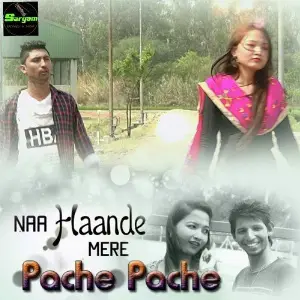 Naa Haande Mere Pache Pache image
