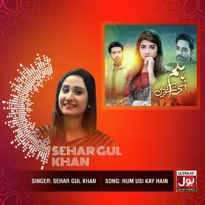 Hum Usi Kay Hain - Single image