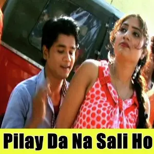 Pilay Da Na Sali Ho image