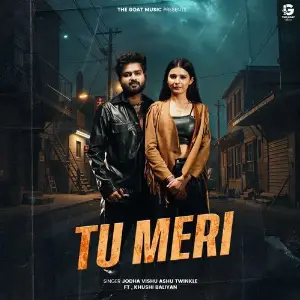 Tu Meri image