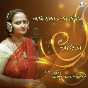Aami Jakhon Chotto Chilam - Single image