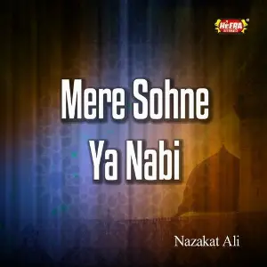 Mere Sohne Ya Nabi image