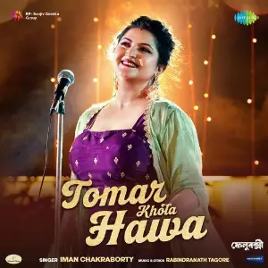 Tomar Khola Hawa (From Felubakshi) image