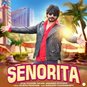 Senorita image