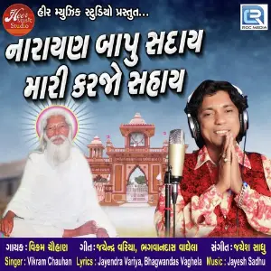 Narayan Bapu Mari Karjo Sahay image