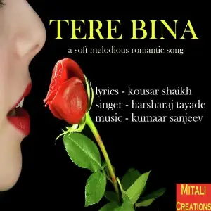 Tere Bina image