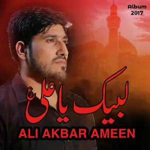 Labbaik Ya Ali Ya Murtaza image