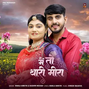 Main To Thari Meera image