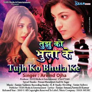 Tujh Ko Bhula Ke image