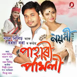 Pahari Pokhili - Single image