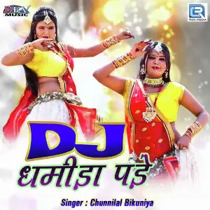 Dj Dhamida Pade image