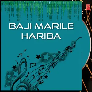 Baji Marile Hariba image