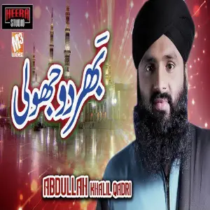 Bhar Do Jholi - Single image
