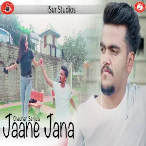 Jaane Jana image