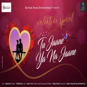 Tu Jaane Ya Na Jaane image