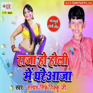 Raja Ho Holi Me Ghare Aaja image