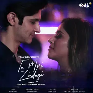 Tu Meri Zindagi image