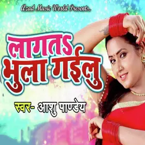 Lagata Bhula Gailu image