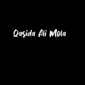 Qasida Ali Mola image