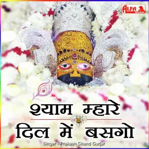 Shyam Mera Dil Mein Basgo image