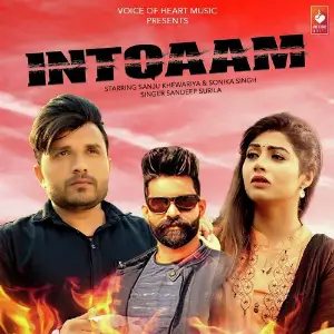 Intqaam image