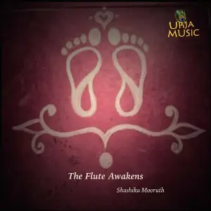 The Flute Awakens image