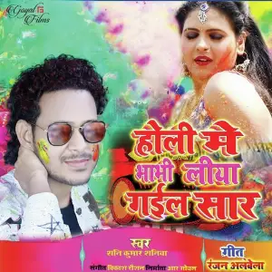 Holi Me Bhabhi Lipa Gayil Saar image