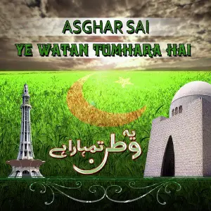 Ye Watan Tumhara Hai - Single image