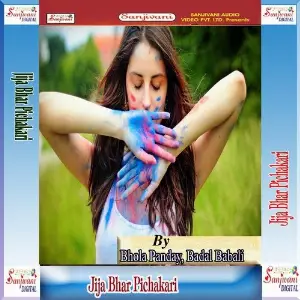 Jija Bhar Pichakari image