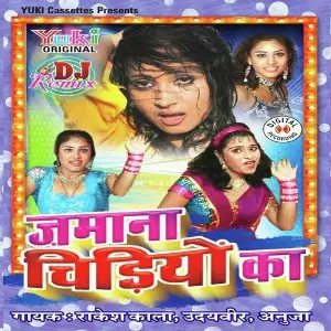 Zamana Chidiyon Ka DJ Remix image