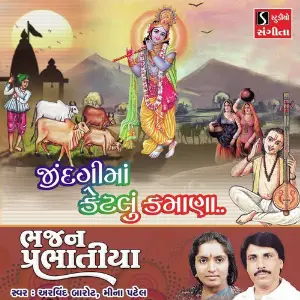 Jindagima Ketlu Kamana image