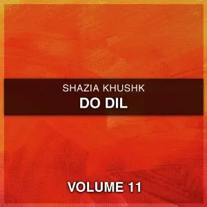 Do Dil, Vol. 11 image
