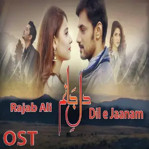 Dil E Jaanam (From Dil E Jaanam) image