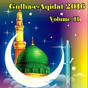Gulha-e-Aqidat 2016, Vol. 11 image