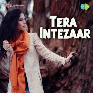 Tera Intezaar image