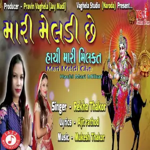 Mari Meldi Chhe Hachi Mari Milkat image