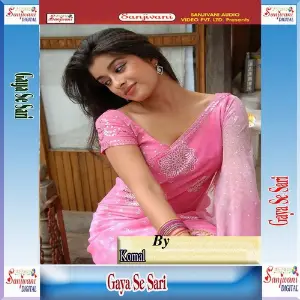 Gaya Se Sari image