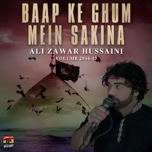 Baap Ke Ghum Mein Sakina, Vol. 2016-17 image