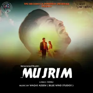 Mujrim image