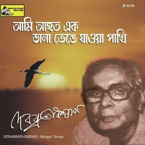 Aami Aahata Ek Dana Bhengey Jaoya Pakhi image