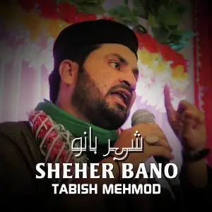 Sheher Bano - Single image