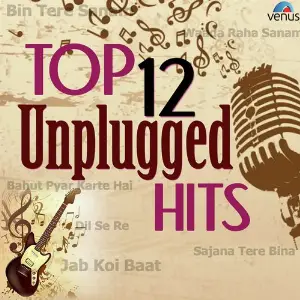 Top 12 Unplugged Hits Various Artists