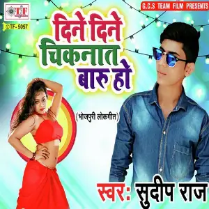 Dine Dine Chiknat Badu Ho image