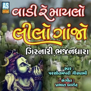 Vadi Re Maylo Lilo Ganjo image