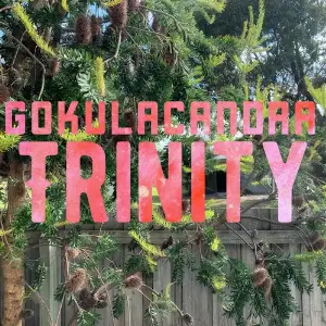 Trinity image